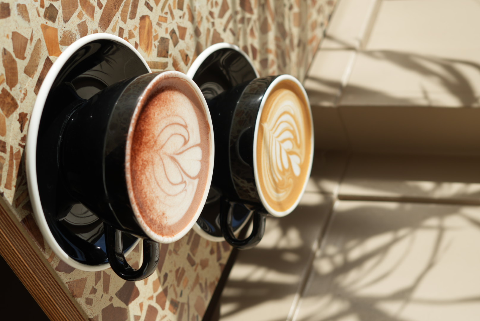 Flat white and hot chocolate with palm shadow